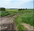 Entrance to two fields, Vicarage Closes