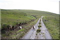 NC3468 : Heading eastwards on the road to Daill by Des Colhoun