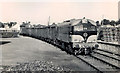 N9690 : Goods train, Ardee (2) by Albert Bridge