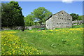 SD7379 : Barn and buttercups beside public footpath by Roger Templeman