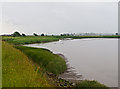 North bank of the River Forth