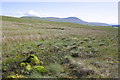 SD7680 : Moss mounds on Blea Moor by Roger Templeman