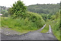 A steep track down to Bronwynedd