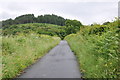 Narrow lane heading for the trees and end of the lane