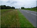 New Road, Ashdown Forest