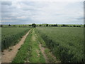 Kirk  Croft  Road  ( Track )