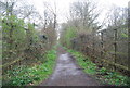 Bridge on the Downs Link