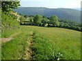 Fields near Middle Stoke Farm