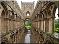 Nave At Jedburgh Abbey