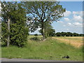 Public footpath to Little Waldingfield from the B1071