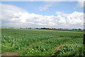 Farmland at Parkers Corner