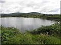 B7901 : Lough, Toome by Kenneth  Allen