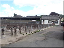 SO2914 : Abergavenny Livestock Market by Ethan Pitt
