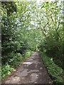 IOW coastal path on the edge of Fishbourne