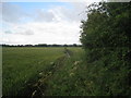 Footpath to Beckingham