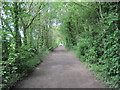 Track  and  Bridleway  Wallingwells  Wood