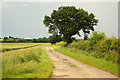 Byway to Gelston Grange