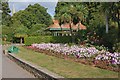 Dawlish Flowers