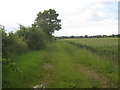 Farm track off Horncastle Lane