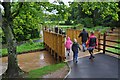 Ottery St Mary : Mill Leat & Footbridge