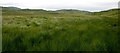 NR6794 : Pathless grassland, north Jura by Becky Williamson