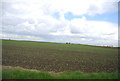 Farmland near Parker