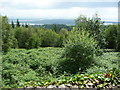 Outlook from Blaize Bailey viewpoint