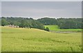 Mid Devon : Countryside Scenery