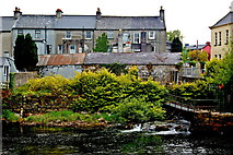 M2925 : Galway - River Corrib Walk - Residences by Joseph Mischyshyn