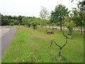 Picnic area, Moortown Cross