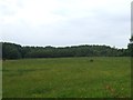 Farmland, South Broomford