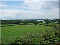 Pasture below Oaklands Park mansion