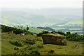SO2556 : The Whet Stone and hill ponies, Hergest Ridge by Jim Barton