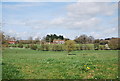 View north from the River Rother