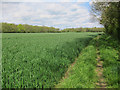 Re-routed footpath