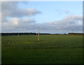 Farmland, Embleton Moor