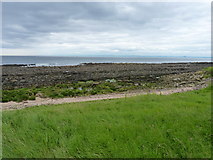 NO5804 : The Fife shoreline near Kilrenny by Richard Law