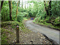 Byway 501 on Hindhead Common