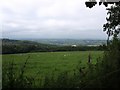 Grassland next to minor road from Clifford Bridge to Moretonhampstead