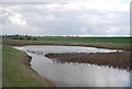 TQ8278 : Pond, Dagnam Saltings by N Chadwick