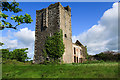 T0607 : Castles of Leinster: Sigginstown, Wexford by Mike Searle