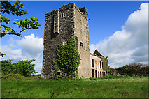 T0607 : Castles of Leinster: Sigginstown, Wexford by Mike Searle