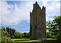 S7504 : Castles of Leinster: Kilcloggan, Wexford (1) by Mike Searle