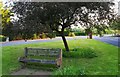 A seat on the village green at Send Marsh