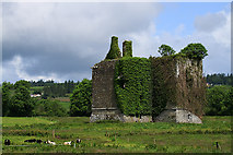 R0509 : Castles of Munster: Kilmurry, Kerry (2) by Mike Searle