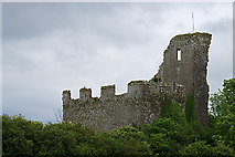 R3945 : Castles of Munster: Cappagh, Limerick (2) by Mike Searle