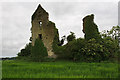 R4639 : Castles of Munster: Kilfinny, Limerick by Mike Searle
