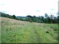 Footpath by Stoke Brook