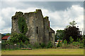 S2532 : Castles of Munster: Killusty, Tipperary (3) by Mike Searle