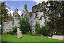 S0043 : Castles of Munster: Killenure, Tipperary (2) by Mike Searle